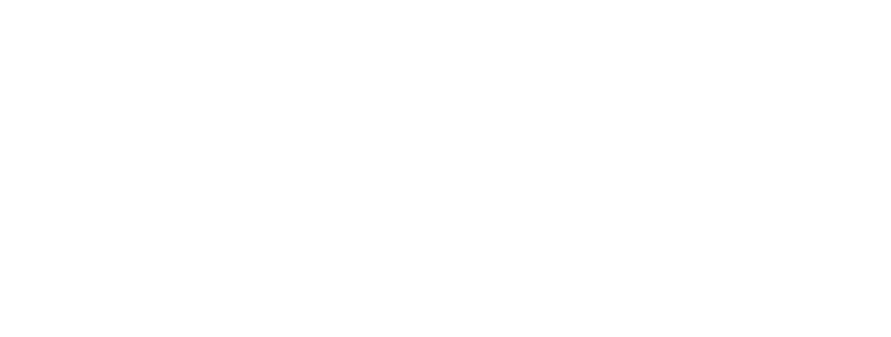 Vietnam Dental Lab