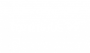 - - Vietnam Dental Lab