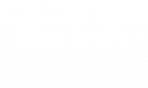 - - Vietnam Dental Lab