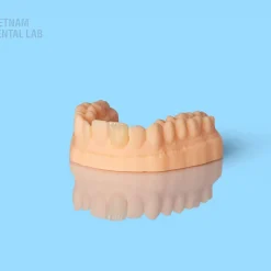- Vietnam Dental Lab Hybrid ceramic