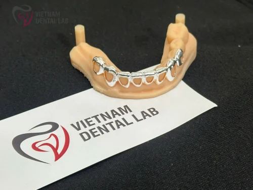 - - Vietnam Dental Lab